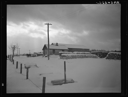 Dairy farmer who supplements his income by selling wood pulp. Coos County, New Hampshire
