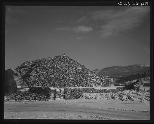 Pile of wood pulp. Groveton, New Hampshire
