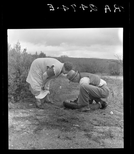 Migrant pea workers on the road with tire trouble. California
