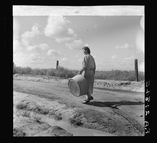 In a migratory labor camp. California