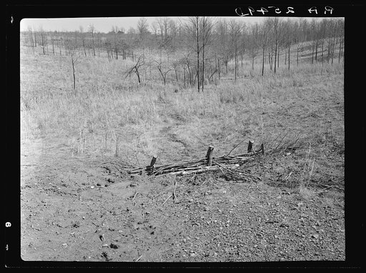 Check brush dam on Coalins Forest and Game Reservation between Tennessee and Cumberland Rivers in Kentucky