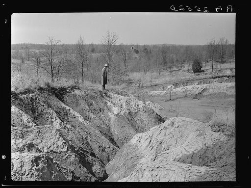 Erosion gully on Coalins Forest and Game Reservation between Tennessee and Cumberland Rivers in Kentucky