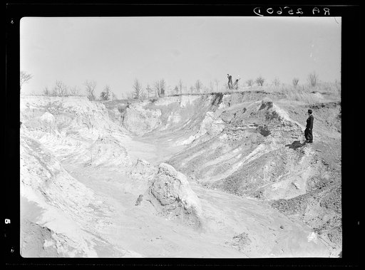 Erosion on Coalins Forest and Game Reservation between Cumberland and Tennessee Rivers in Kentucky