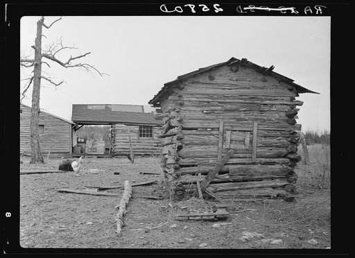 Smokehouse of cedar at Wilson Cedar Forest project. Near Lebanon, Tennessee