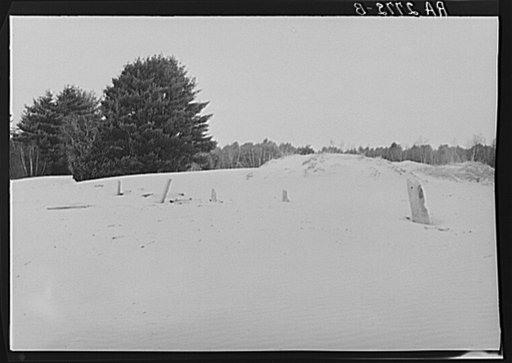 Stone fence being submerged in sand. Desert of Maine. Freeport, Maine