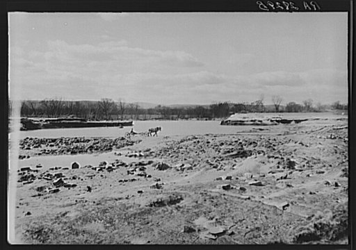 Ruined tobacco land along the Connecticut River, near Hatfield, Massachusetts