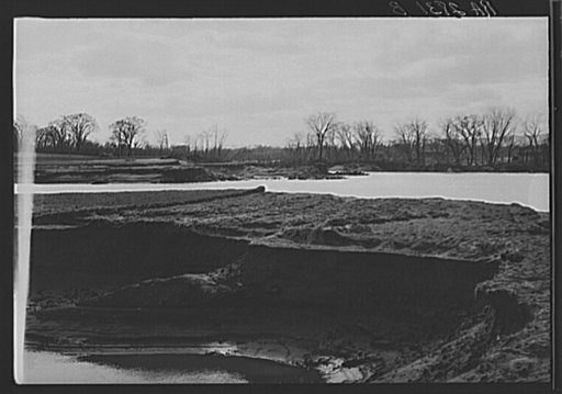 Ruined tobacco land along the Connecticut River, near Hatfield, Massachusetts