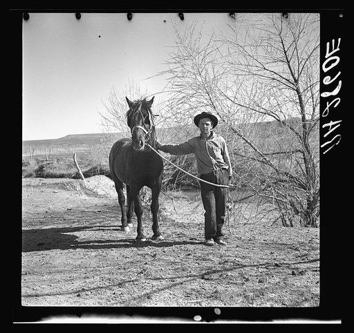 Rehabilitation client and stallion obtained through rehabilitation loan. Dona Ana County, New Mexico