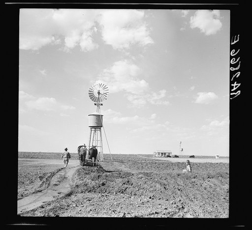 Constructing an earth tank. Ropesville rural community, Texas