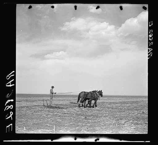 Leveling a field before irrigation on the proposed project at Muleshoe, Texas