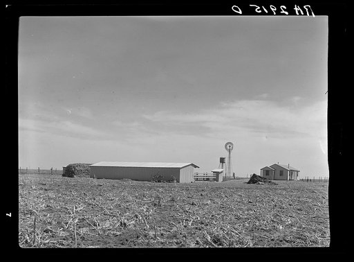 Ropesville Farms, Texas, April 1936. United States Resettlement Administration rural rehabilitation project. One of the thirty-three homestead units