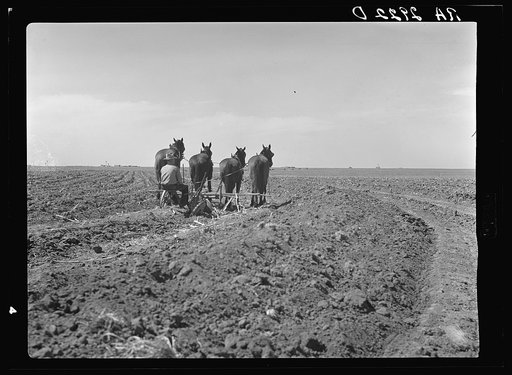 Resettled farmer terracing part of his 120 acre farm. Ropesville rural community, Hockley County, Texas