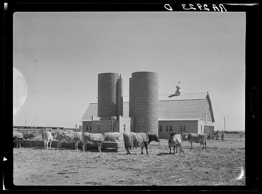 Terra Blanca Dairy Farms. Randall County, Texas