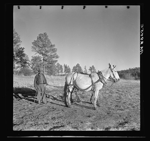 Indian on the Mescalero Apache Reservation, New Mexico