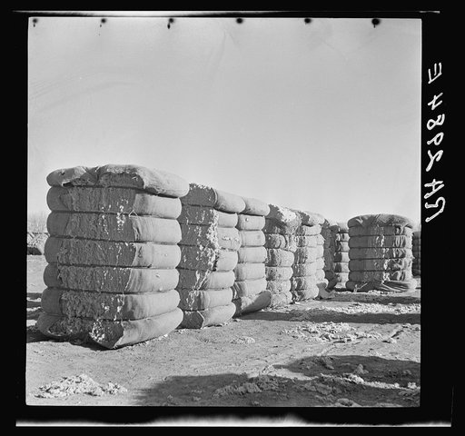 Bales of cotton. Roswell, New Mexico