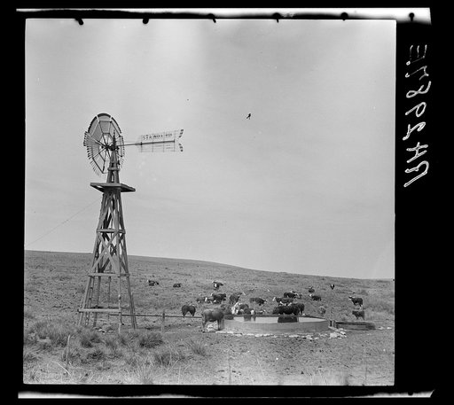 Waterhold on a ranch. Roosevelt County, New Mexico