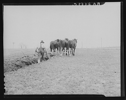 Plowing in Maryland