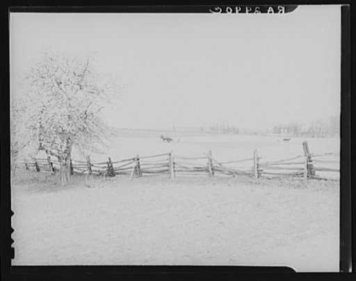 Countryside in Maryland