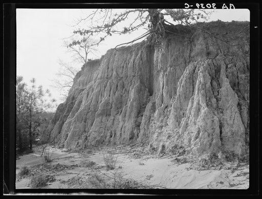 Erosion near Jackson, Mississippi
