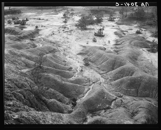 Erosion near Jackson, Mississippi