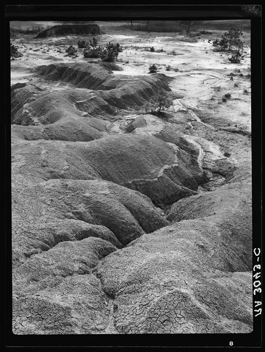 Erosion near Jackson, Mississippi