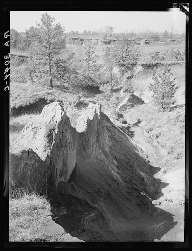 Erosion near Oxford, Mississippi