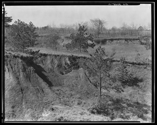 Erosion near Oxford, Mississippi