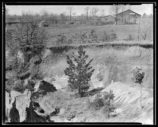 Erosion near Oxford, Mississippi