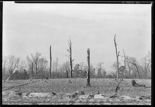 Wooded land near Monticello, Georgia