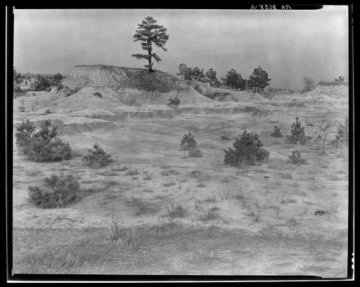Erosion near Jackson, Mississippi