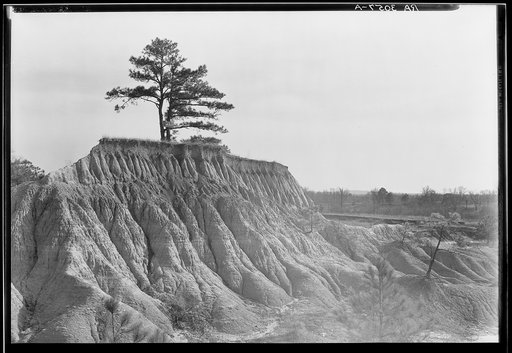 Erosion near Jackson, Mississippi