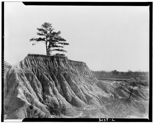 Erosion near Jackson, Mississippi