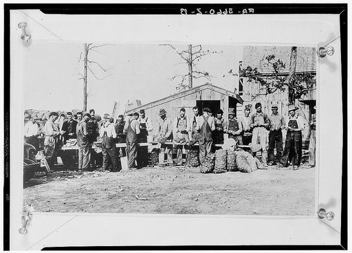 Cooperative market. Crossville, Tennessee. Cumberland Homesteads