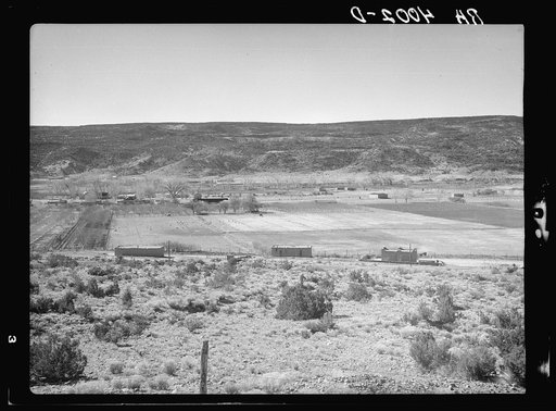 Irrigated farms in the Rio Grande Valley. Sandoval County, New Mexico