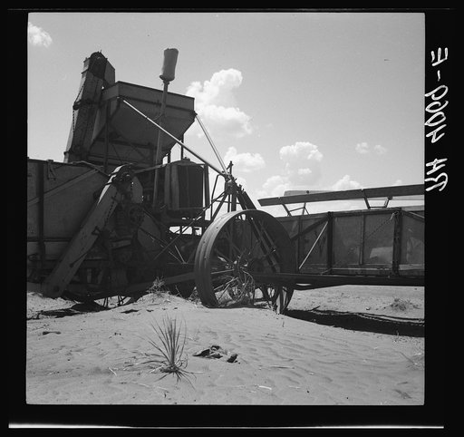 Dust covering harvester. Castro County, Texas