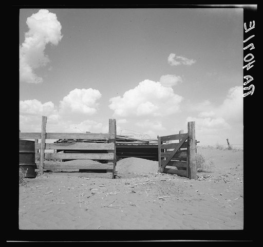 Invading mounds of sand forced abandonment of this hog pen. Castro County, Texas