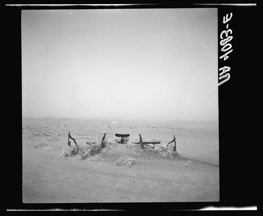 Severely blown field. Boise City, Oklahoma