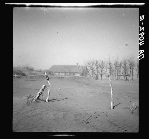 A garden now hidden by sand. Cimarron County, Oklahoma
