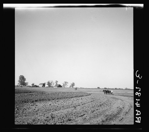 Contour plowing. Douglas County, Kansas