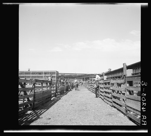 Stockyards. Kansas City, Kansas