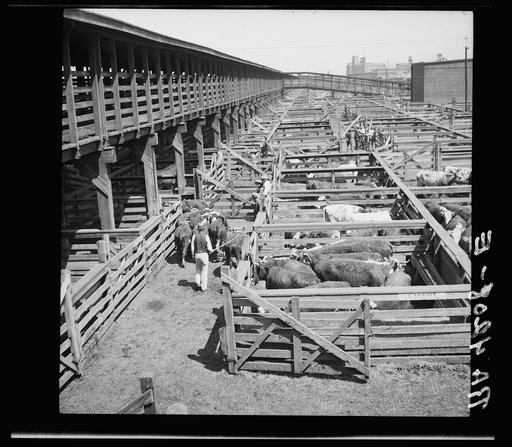 Stockyards. Kansas City, Kansas