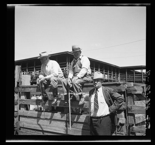 Cattle merchants in stockyards. Kansas City, Kansas
