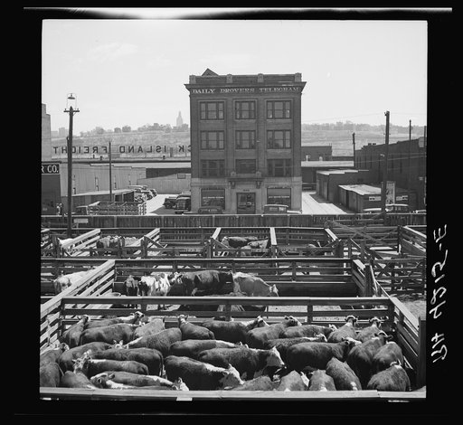 Stockyards. Kansas City, Kansas