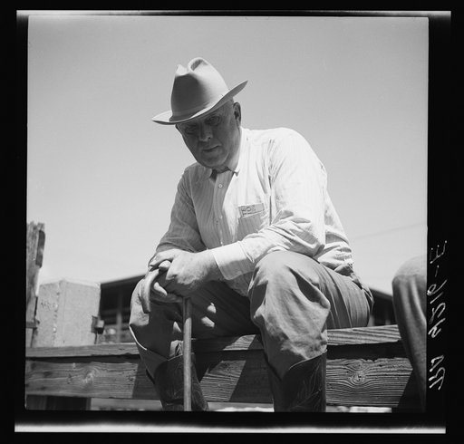 Cattle merchant in stockyards. Kansas City, Kansas