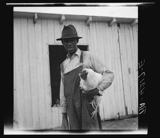 Negro rehabilitation client started as poultry raiser through United States Resettlement Administration loan. Kansas