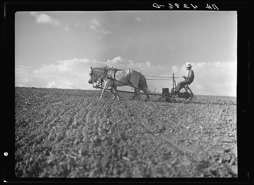 Planting corn. Lancaster County, Nebraska