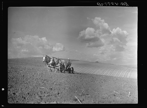 Farmer of Lancaster County, Nebraska