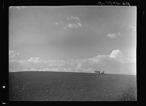 Farm scene. Lancaster County, Nebraska