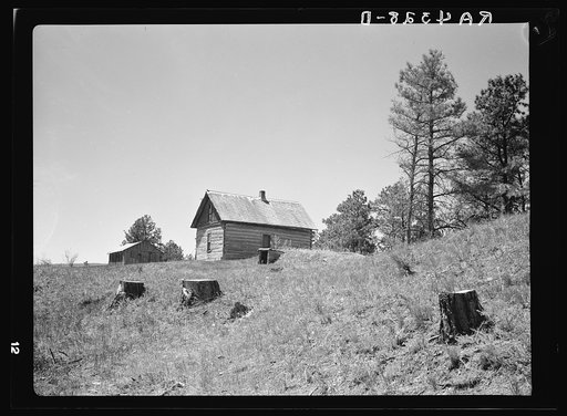 Improper use of forest land. A homestead surrounded by cut-over land. Pine Ridge land use project, Dawes County, Nebraska