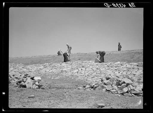 Facing a stock water dam. Sioux County, Nebraska. Pine Ridge land use project